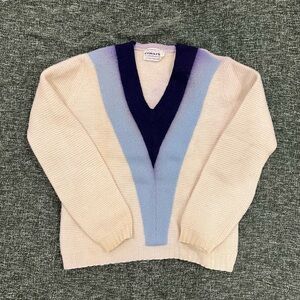 Everlane Blue and Cream V-Neck Sweater
